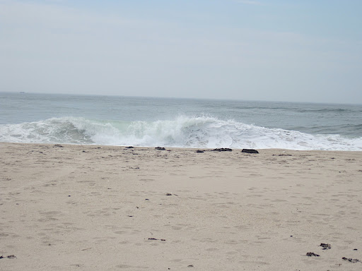 Scenery shot #2.