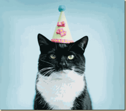 birthday_cat birthday_cat