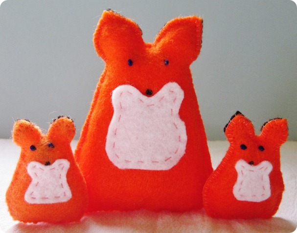 red fox fam 013