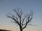 IMG_6151.JPG