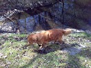 01042012239.jpg