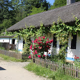 IMG_1885.JPG