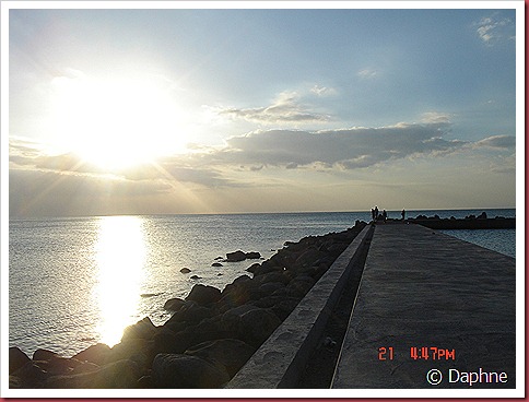 DSC08780 DSC08780