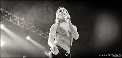 Iggy and the Stooges-2.jpg