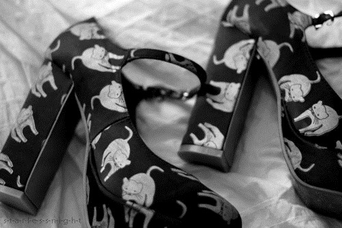 [beautiful-black-and-white-cat-cats-cute-Favim.com-286868%255B5%255D.jpg]