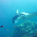 IMG_1606.JPG