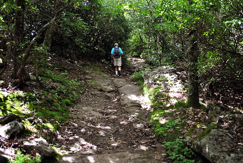 [06d---Appalachian-Trail-climb-up-to-%255B3%255D.jpg]