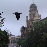 MUMBAI Nagariya