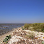 IMG_5671.JPG