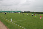 Shamrocks Pictures 014.jpg