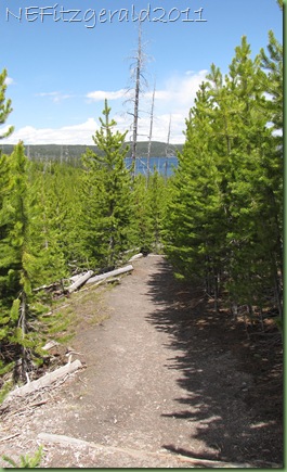 DuckLakeTrail DuckLakeTrail