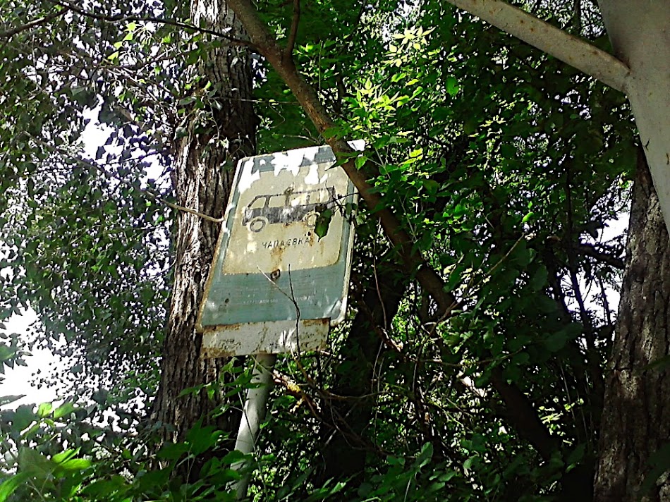 P160711_12.22.jpg