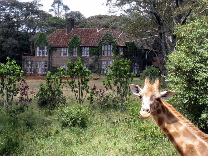 giraffe-manor-11 giraffe-manor-11