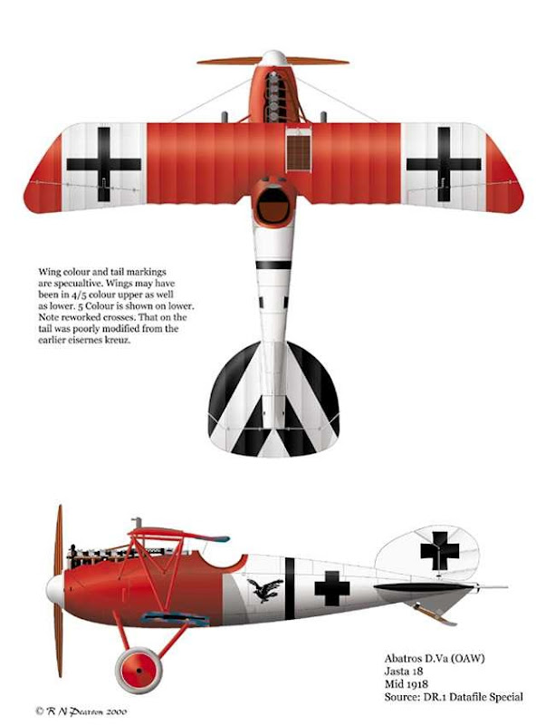 Albatros_DVaJs18.jpg