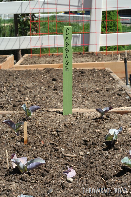 [garden%2520decoration%2520014%255B5%255D.jpg]