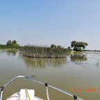 DSCN2657.JPG