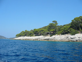 IMG_0075.jpg