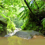 The Hot Pools - Roseau, Dominica
