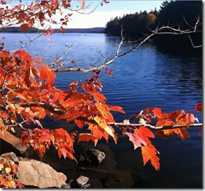Outono canadense, Algonquin Park Autora Mirella Matthiesen