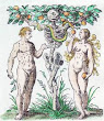 Woodcut By Jost Amman From Jacob Rueff De Conceptu Et Generatione Hominis 1587