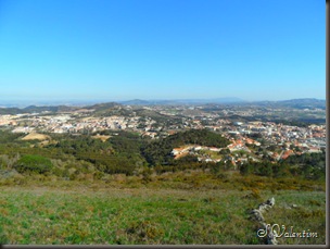 SAM_0199 SAM_0199