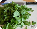 DSCN0842