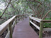 Selby Gardens. Photo by Allison Tibaldi