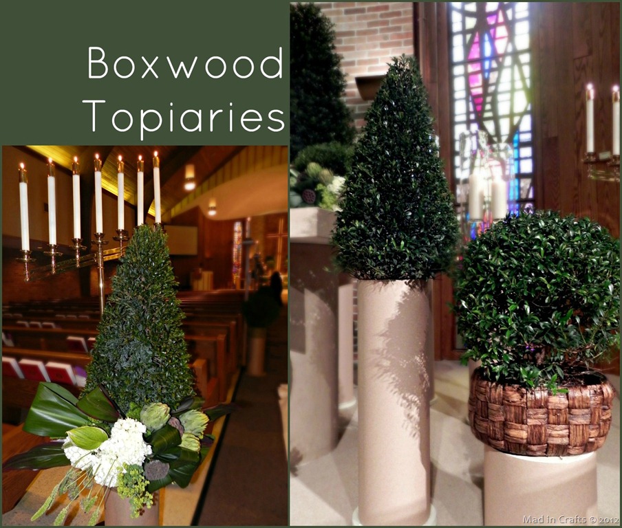 [boxwood-topiaries7.jpg]