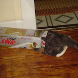 Grace tries to hide in the Coke box.
