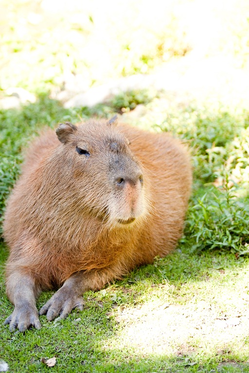 [20120903-IMG_9848%255B3%255D.jpg]