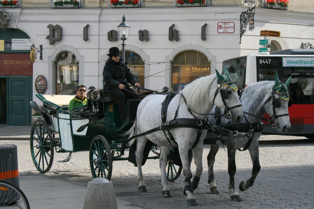 [IMG_2994%255B4%255D.jpg]