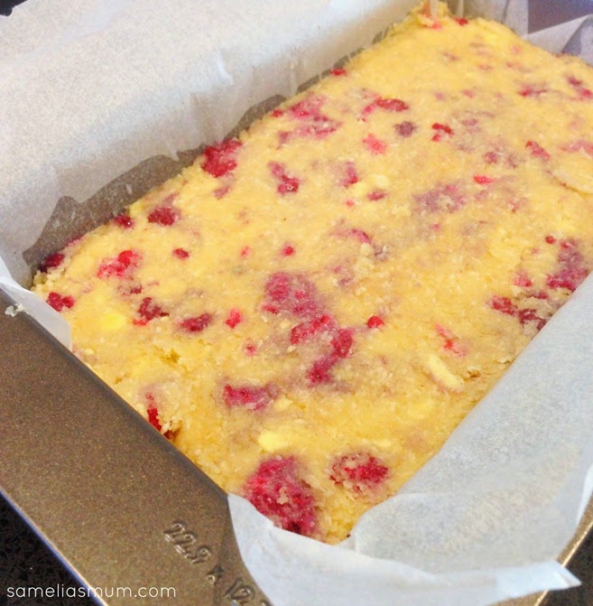Coconut Raspberry Loaf - Pre Bake