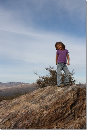 saguaro park-hike 124