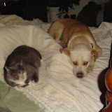 Grace and Sam.