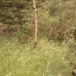 View album