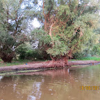 IMG_8224.JPG