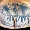 Horses