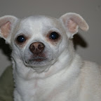 Mojo Photo Shoot - 2010
