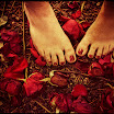 Pretty Feet with Leaves.jpg