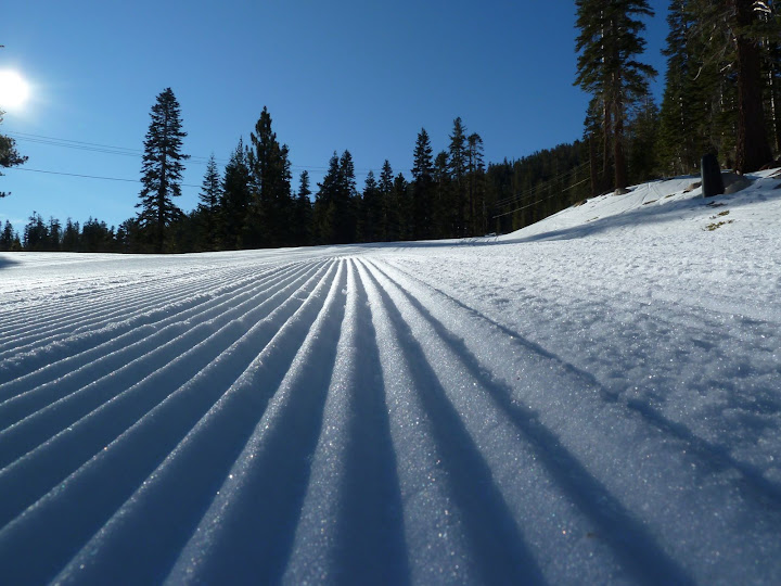 Famous corduroy