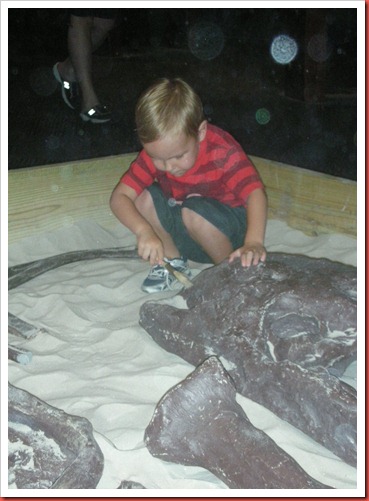Jack helped uncover fossils.