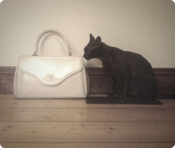 Cat-bag Cat-bag