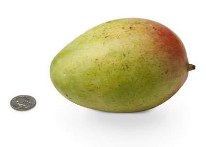 [23-mango%255B4%255D.jpg]