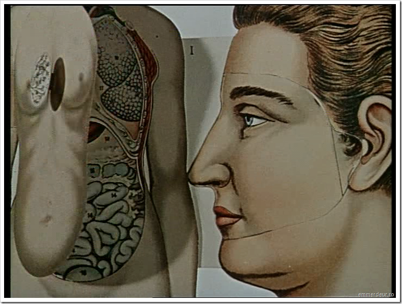 jan svankmajer historia naturae emmerdeur_578 jan svankmajer historia naturae emmerdeur_578
