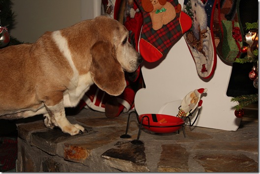 IMG_7033