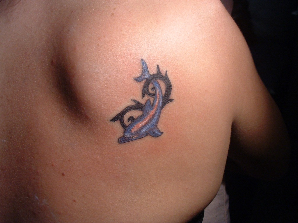 [Dolphin-Tattoo-24.jpg]