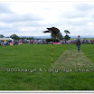 Cuerden Birds of Prey 012.jpg