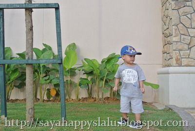 DSC_0861 DSC_0861