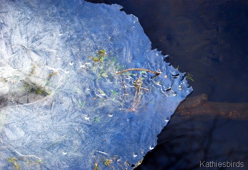 12. ice patterns-kab