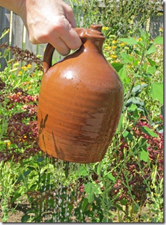 Dispensing water from the jug